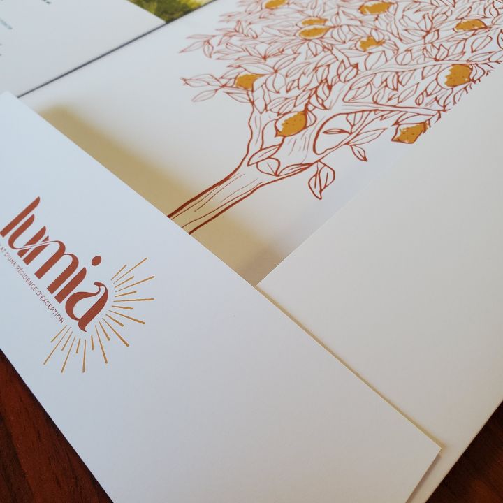 Impression de chemise à rabats